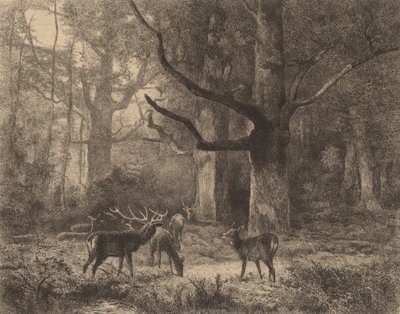 Forest of Fontainebleau by Karl Bodmer
