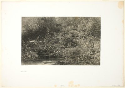 Fox on the Prowl by Karl Bodmer