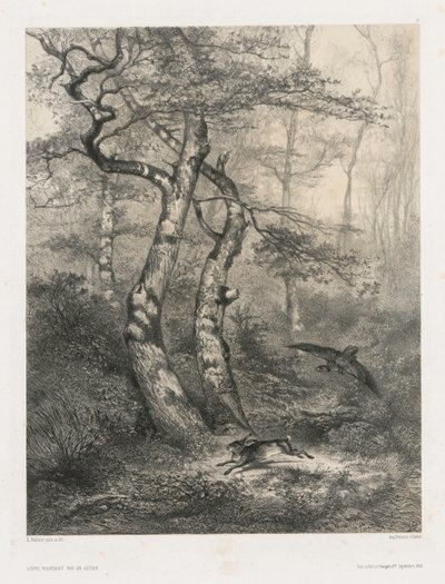 Hare Pursued by a Goshawk, 1858 by Karl Bodmer