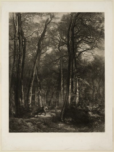 In the Forest by Karl Bodmer