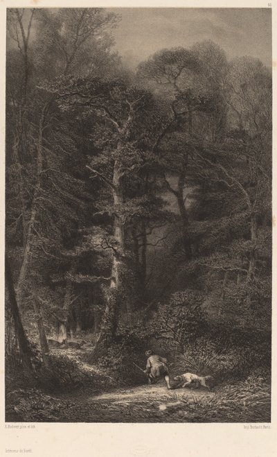 Forest Interior by Karl Bodmer