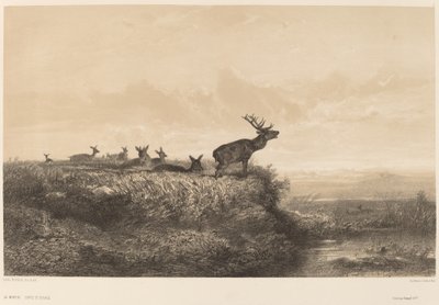 The Morning by Karl Bodmer
