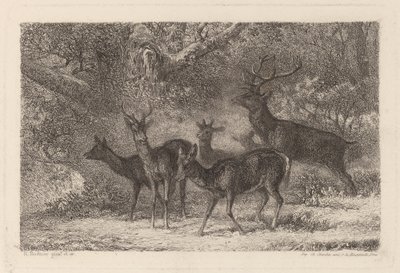 The Herd by Karl Bodmer