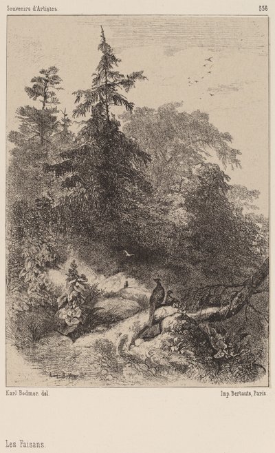 The Pheasants by Karl Bodmer