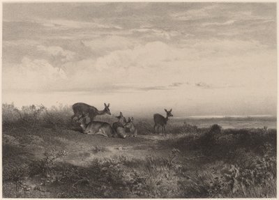The Does by Karl Bodmer