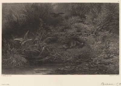 Fox on the Lookout by Karl Bodmer