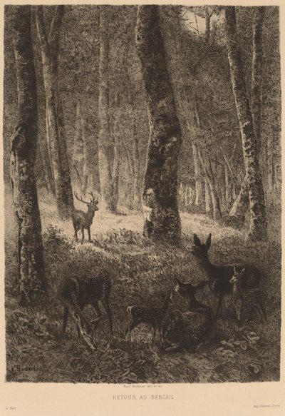 Return to the Fold by Karl Bodmer