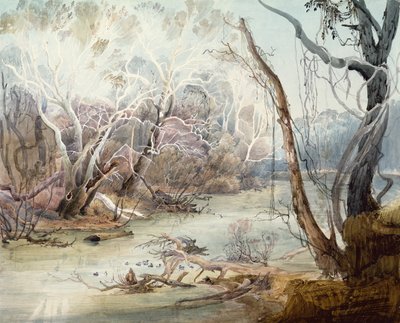 The Fox River near New Harmony, Indiana by Karl Bodmer