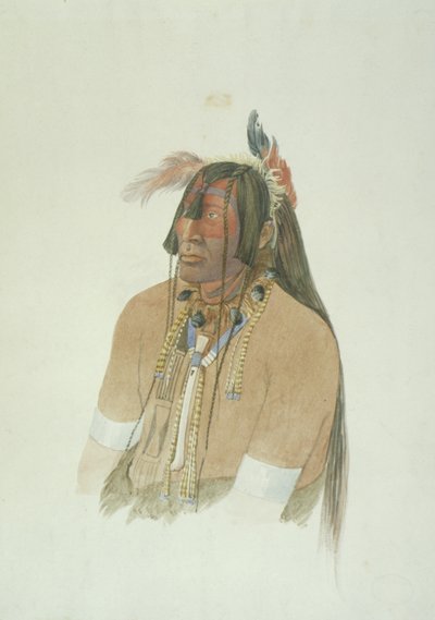 Unidentified Man by Karl Bodmer