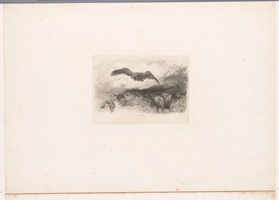 Flying Eagle by Karl Bodmer