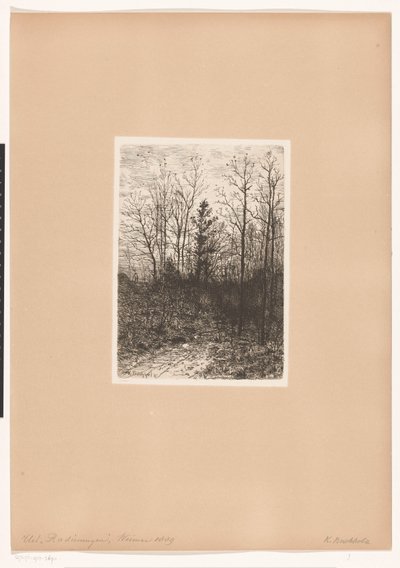 Forest Scene by Karl Buchholz