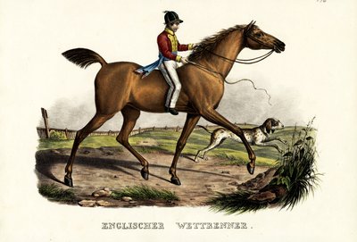 English Racer Horse by Karl Joseph Brodtmann