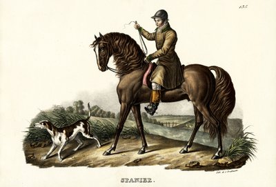 Spanish Hunter Horse by Karl Joseph Brodtmann