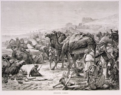 Shearing Camels by Karl Wilhelm Gentz