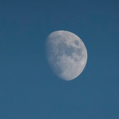 Look At The Moon, 2021 by Katha Wood
