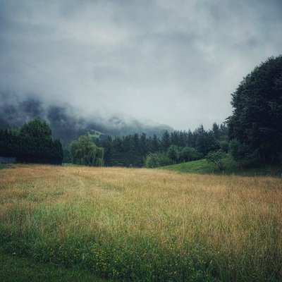 Misty Mountains, 2021 by Katha Wood