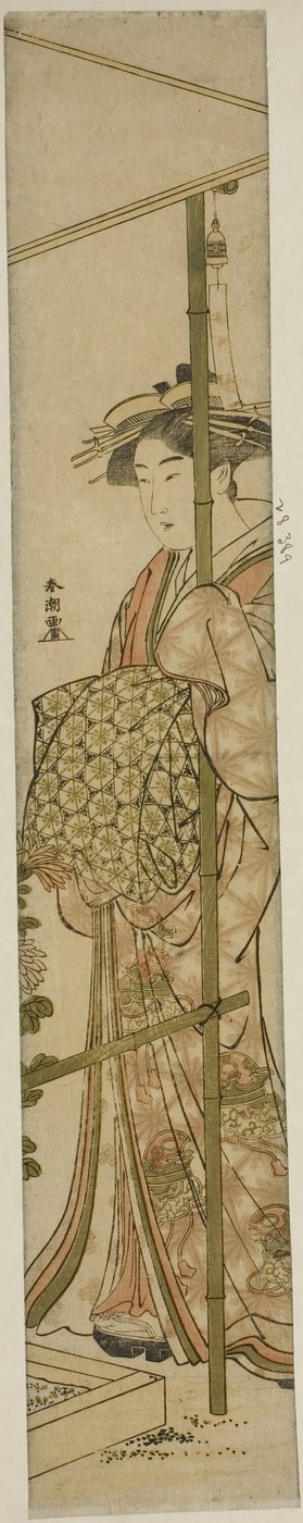Courtesan Admiring Chrysanthemums by Katsukawa Shuncho