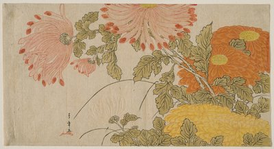 Chrysanthemums, c.1780 by Katsukawa Shunsho