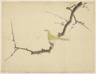 Nightingale on a Plum Branch by Katsushika (school of) Hokusai