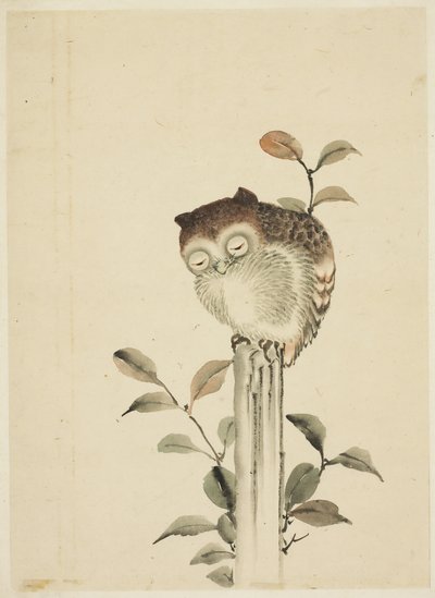 Owl Asleep on a Stump by Katsushika (school of) Hokusai
