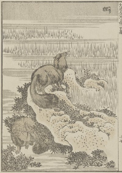 Badger by Katsushika Hokusai