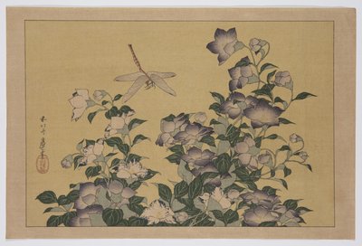 Bellflower and Dragonfly by Katsushika Hokusai
