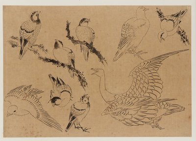 Birds by Katsushika Hokusai