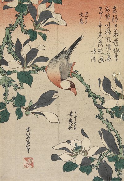 Java Sparrow and Magnolia, c. 1832 by Katsushika Hokusai