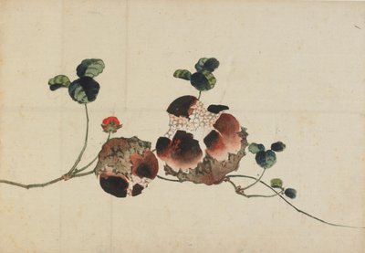 Pomegranates, late 18th-early 19th century by Katsushika Hokusai