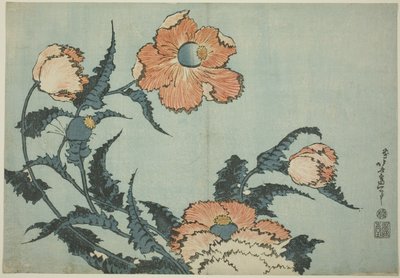 Poppies, from an Untitled Series of Flowers by Katsushika Hokusai