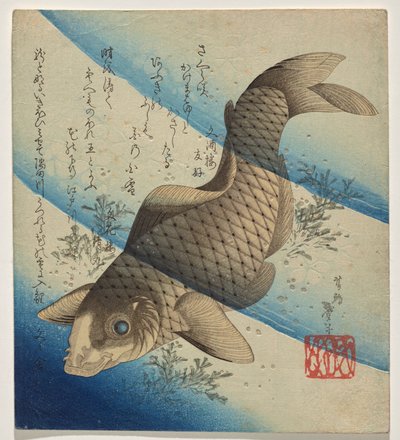 Carp Swimming in Seaweed by Katsushika Taito II