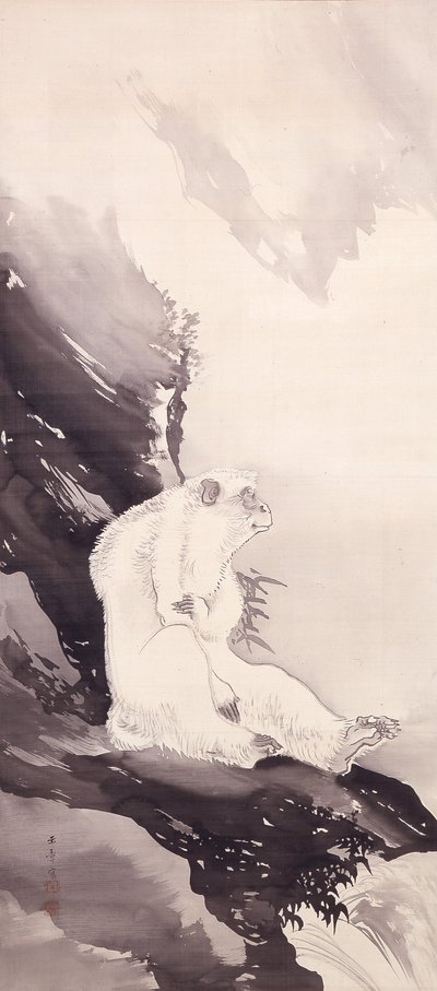 White Monkey by Kawabata Gyokushō