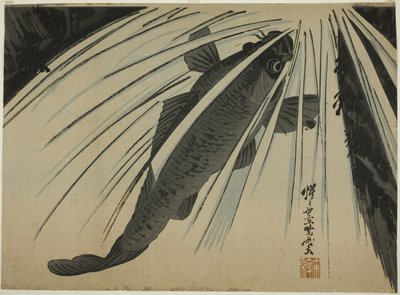 Carp Ascending Falls by Kawanabe Kyosai