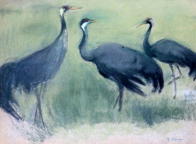 Storks by Kazimierz Stabrowski