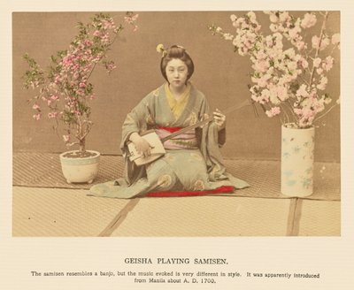 Geisha Playing Samisen by Kazumasa Ogawa