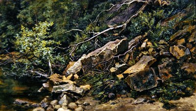A Rocky Bank by Keeley Halswelle