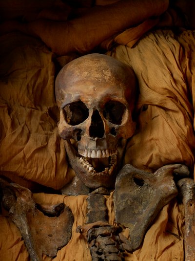 Mummy of King Tut