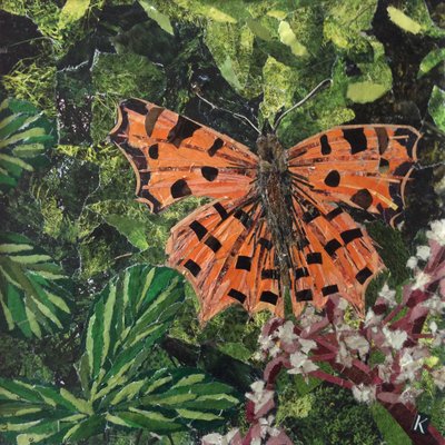 Flutter - Comma Butterfly On Japonica by Kirstie Adamson