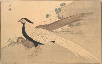Bai xian by Kitao Masayoshi