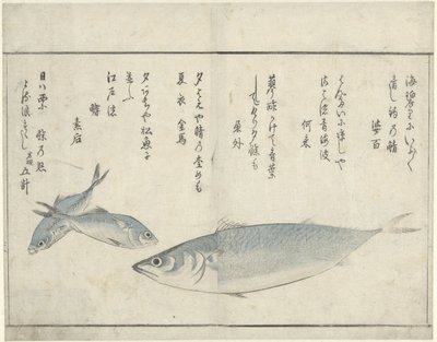 Three Fish by Kitao Masayoshi