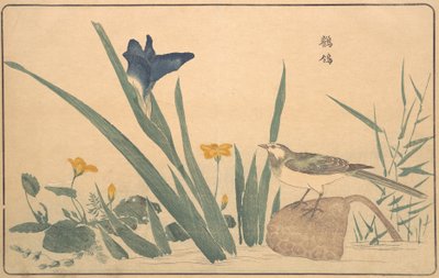 The Pied Wagtail, 1789 by Kitao Masayoshi