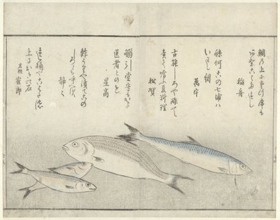 Four Fish by Kitao Masayoshi