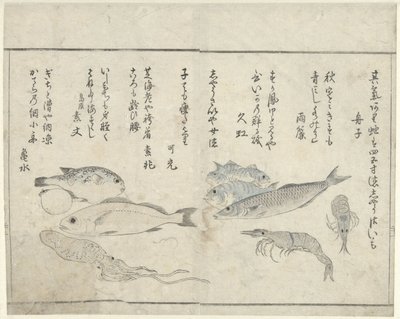 Sea Creatures by Kitao Masayoshi