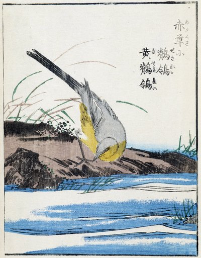 Bird. Japanese Drawing by Kitao Kosuisai by Kitao Shigemasa