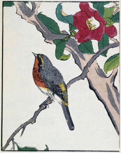 Japanese drawing by Kitao Kosuisai by Kitao Shigemasa