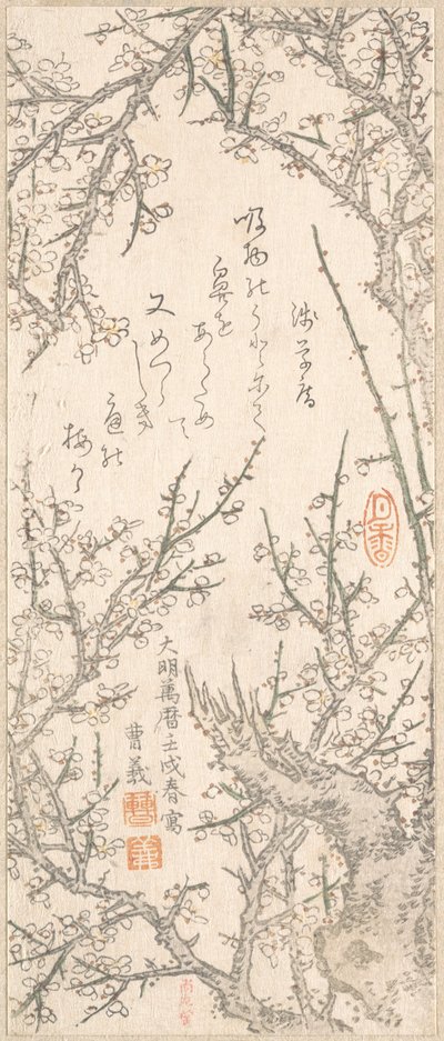 Plum Tree in Blossom by Kitao Shigemasa