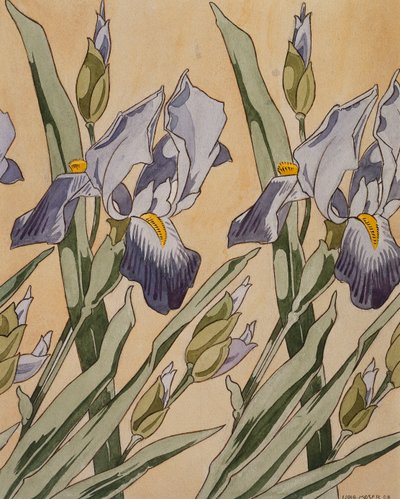 Iris by Koloman Moser
