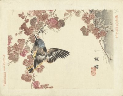 Bird and Red Vine by Kono Bairei