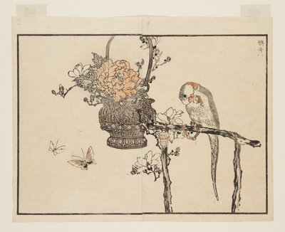 Parrot by Kono Bairei