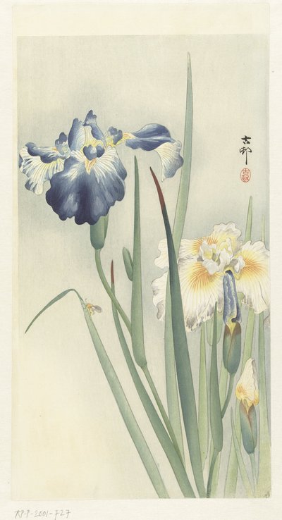 Irises by Ohara Koson
